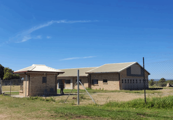 loselong v 2023 april